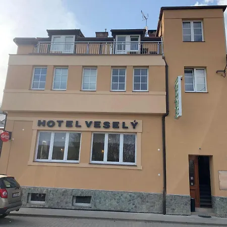 Hotel Vesely 3*
