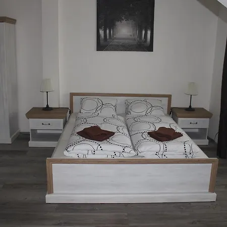 Hotell Vesely 3*