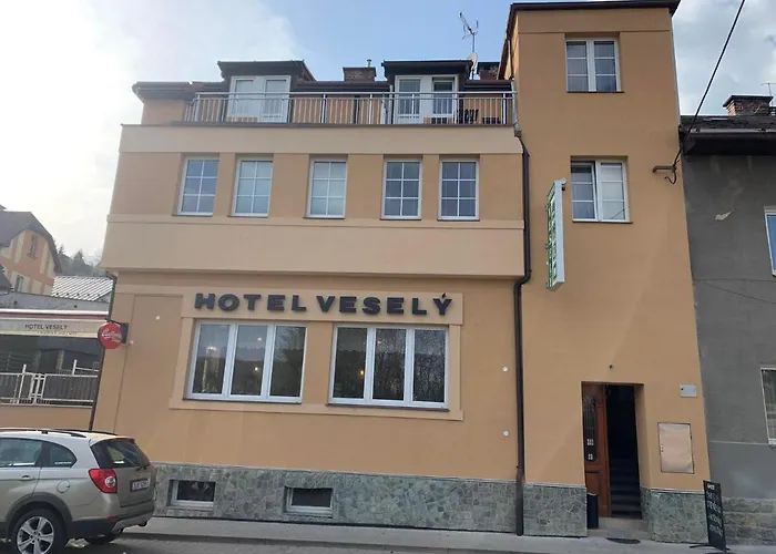 Hotel Vesely 3*